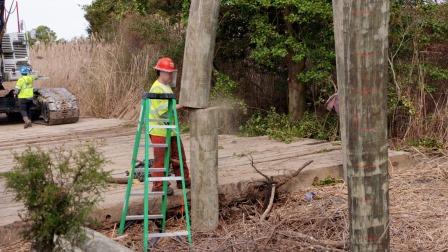 Resized Cross Island Trail construction - KN 29