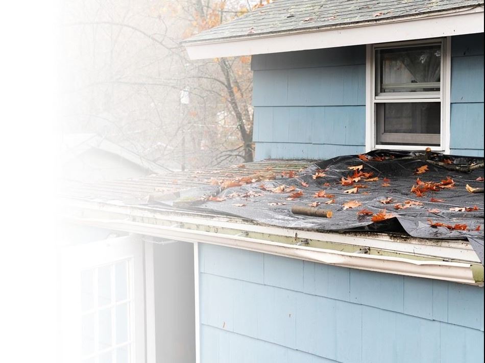 PIC for website rehab 1